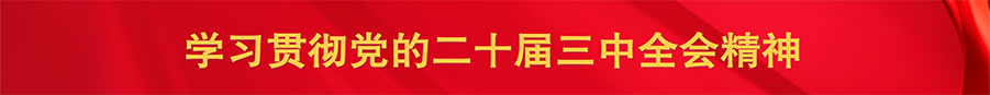 学习贯彻党的二十届三中全会精神_横幅.png